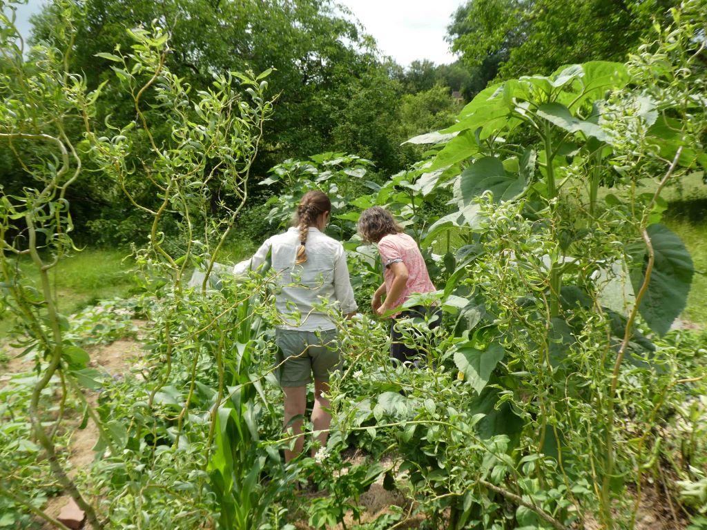 Visite du jardin des Lib'elles Lune