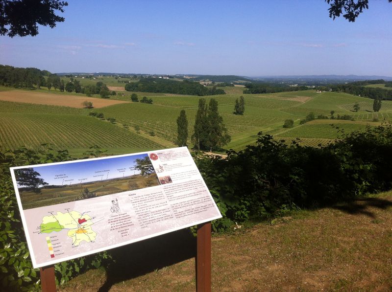 Guided tour | Château Bélingard