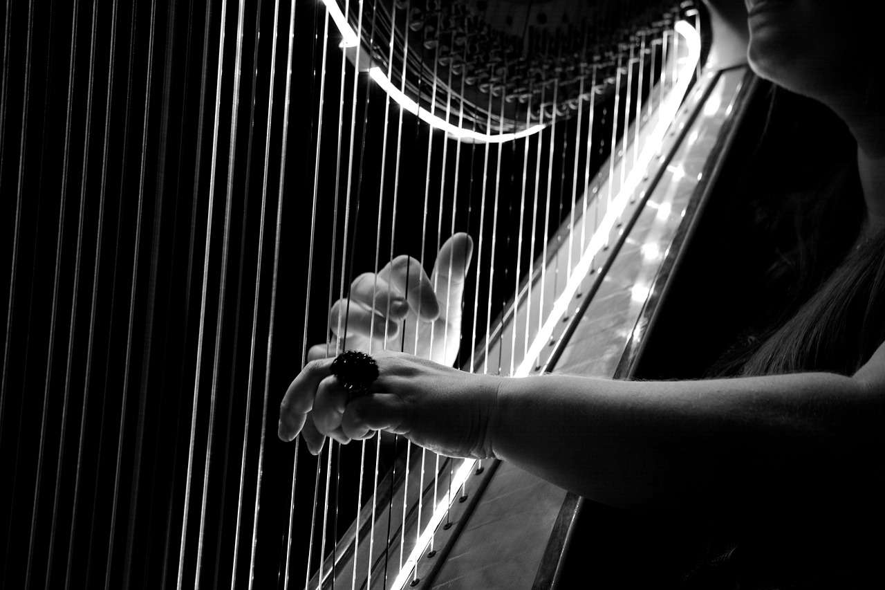 Concert Harpe par Dimitri Boekhorn
