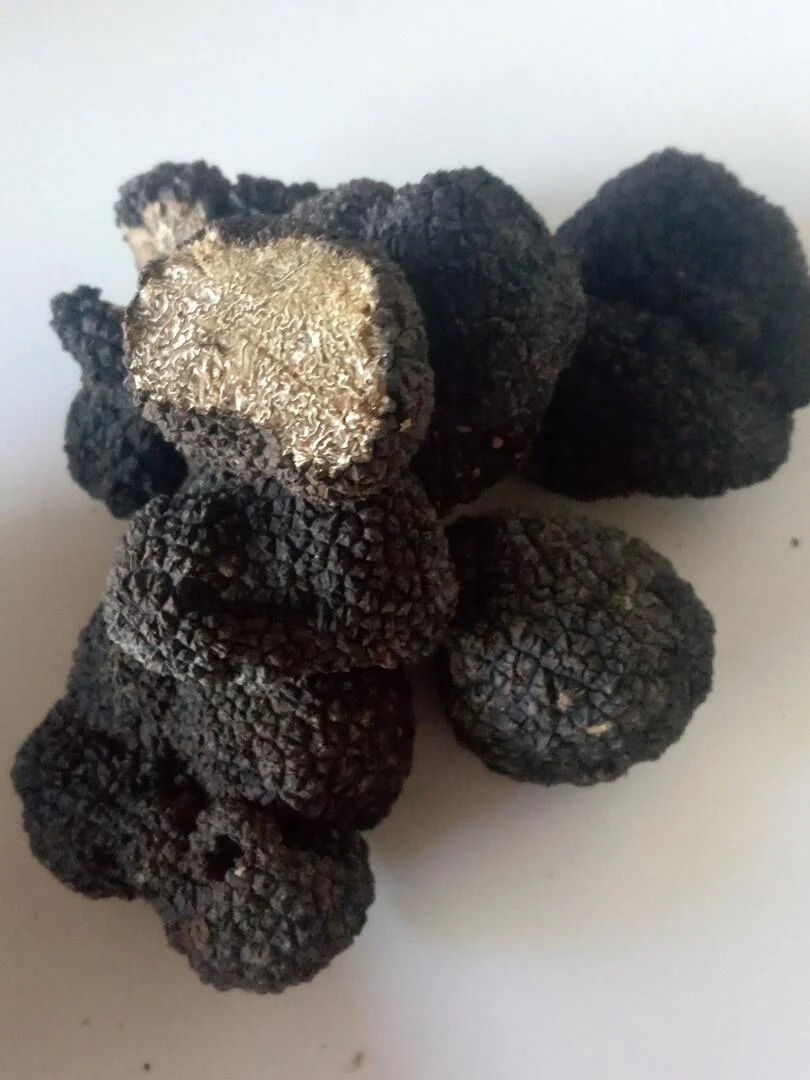Marché nocture - pâtes aux truffes - Sorges