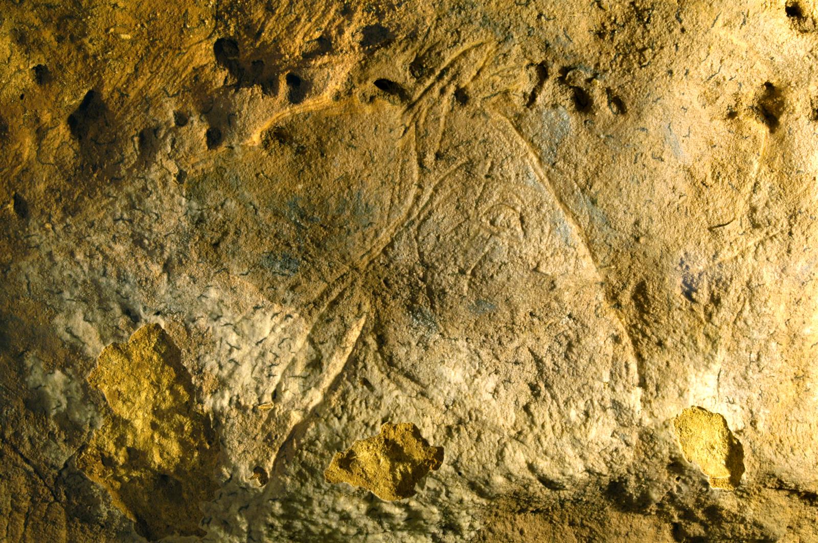 Journées du patrimoine - Grotte des Combarelles