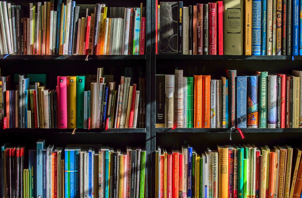 Braderie des bibliothèques du réseau de la CAB