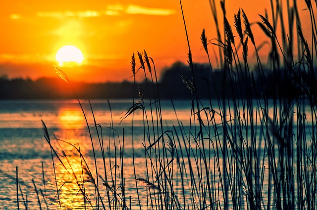 VIDE GRENIER DU LAC