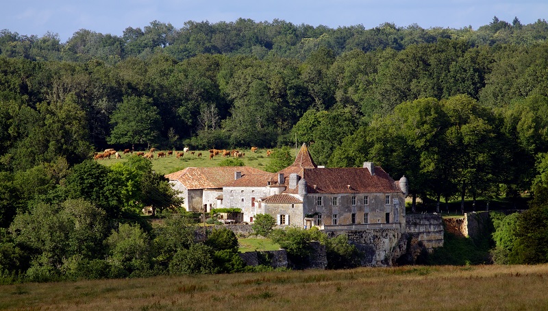 Journées Européennes du Patrimoine au château  ...