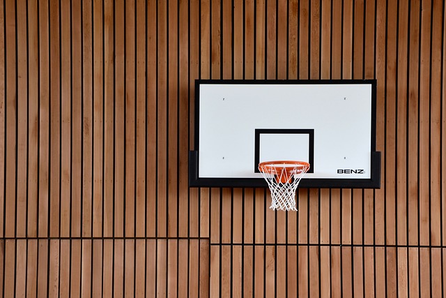 SOUTIEN A L'ACTIVITE BASKET