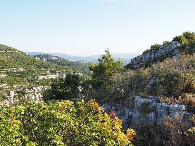 Fête de la science - L'eau sur le causse, une  ...