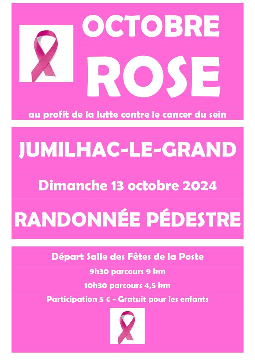 Marche pour Octobre Rose