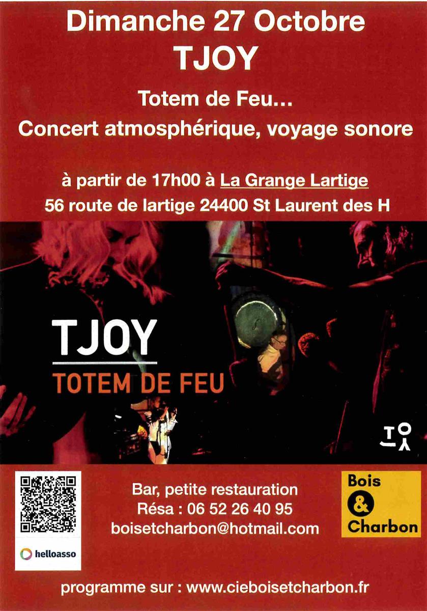 Concert T Joy