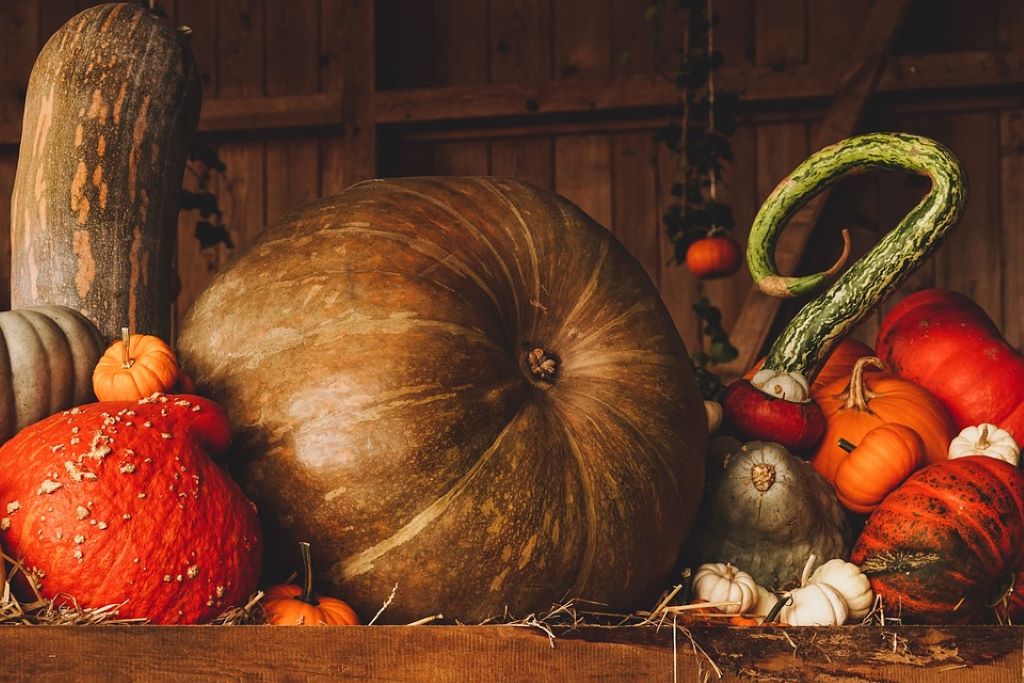 Fête d'Octobre