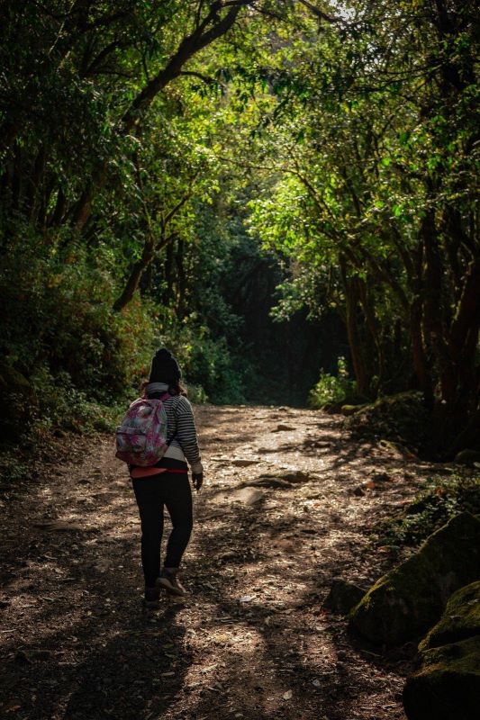 Marche dans le cadre d'Octobre Rose au Bugue