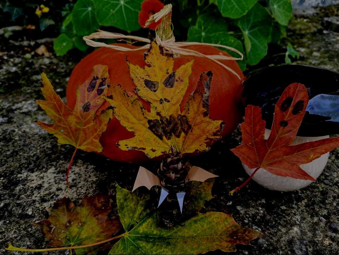 Atelier Land Art de la Frousse à Eyrignac et s ...