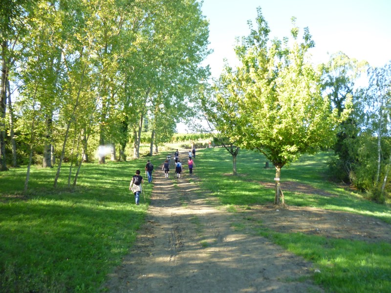 Téléthon : randonnée pédestre