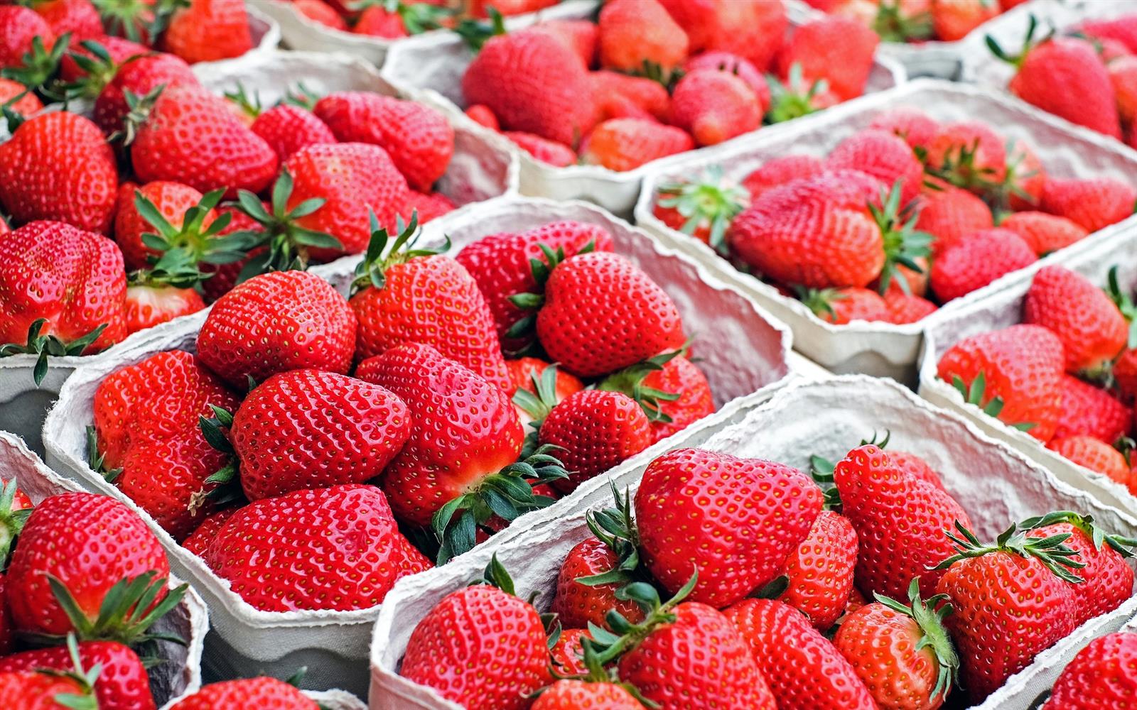 Marché Gourmand de Meyrals