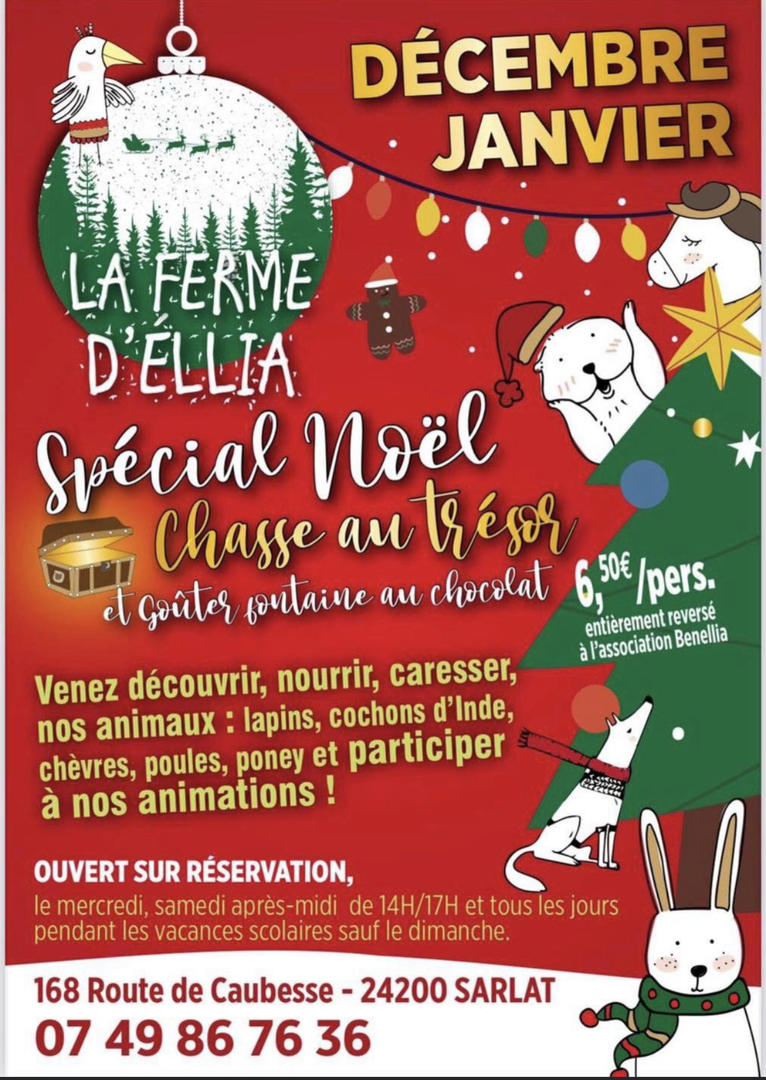 Animations de Noel à la Ferme d'Ellia