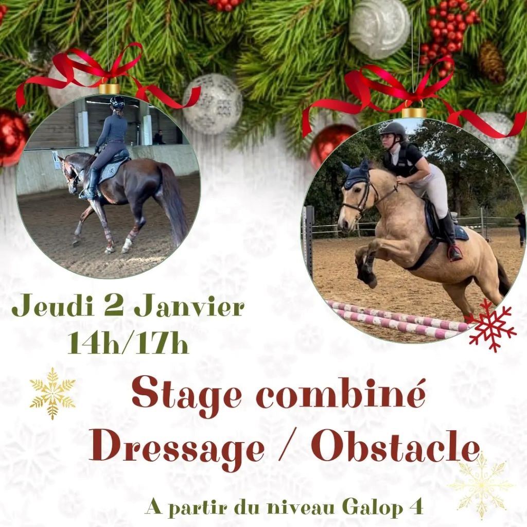 Stage combiné Dressage/Obstacle