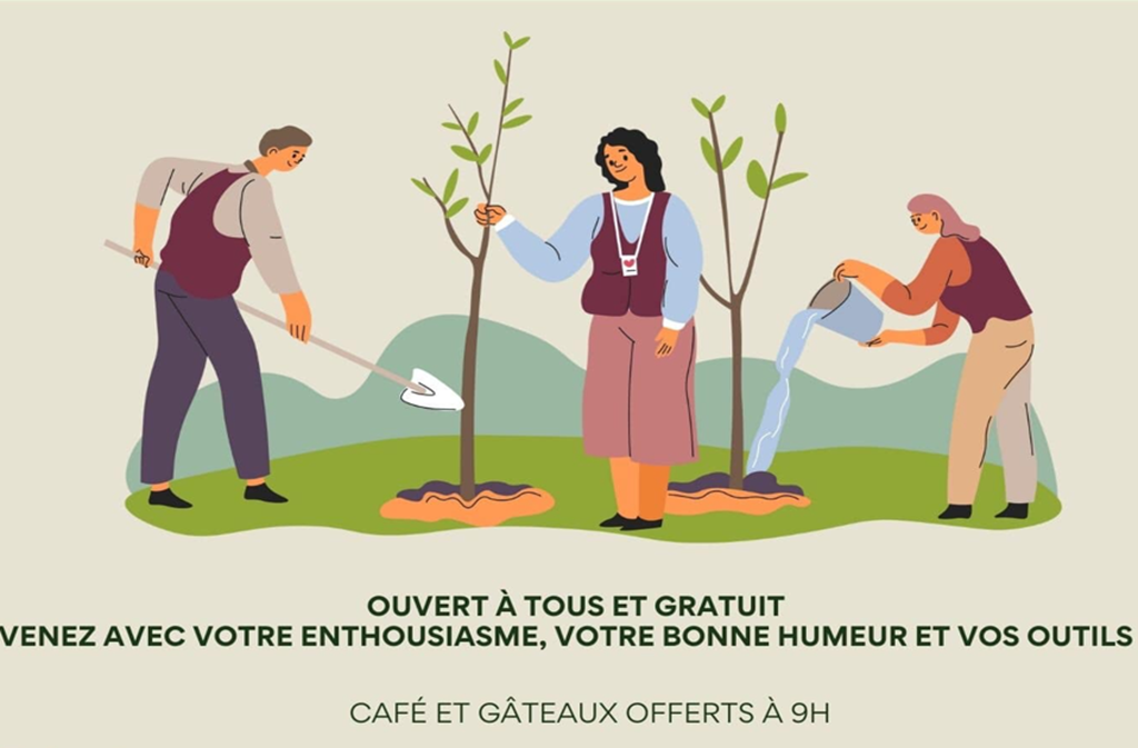 Journée de plantation collective