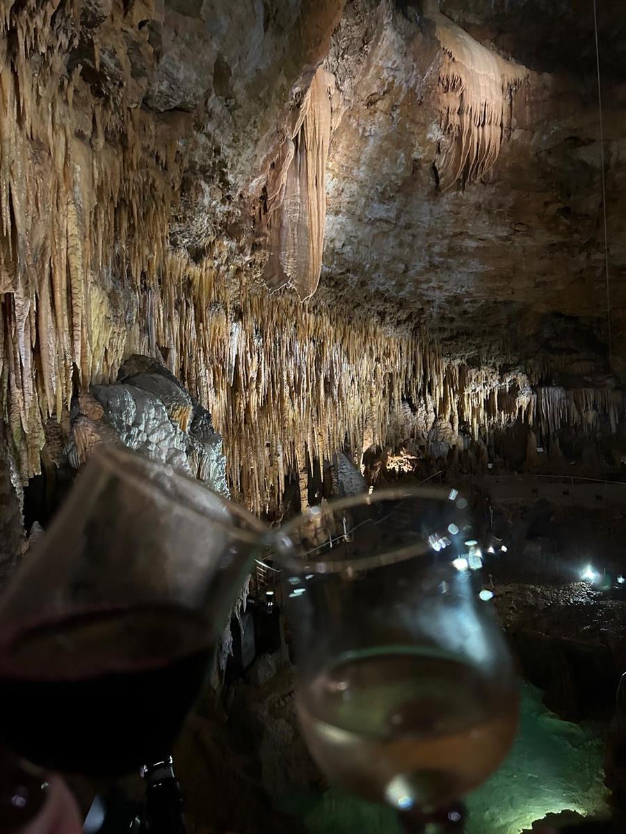 Février Gourmand au Gouffre de Proumeyssac