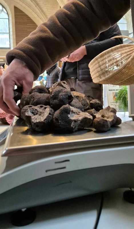 Marché contrôlé aux truffes