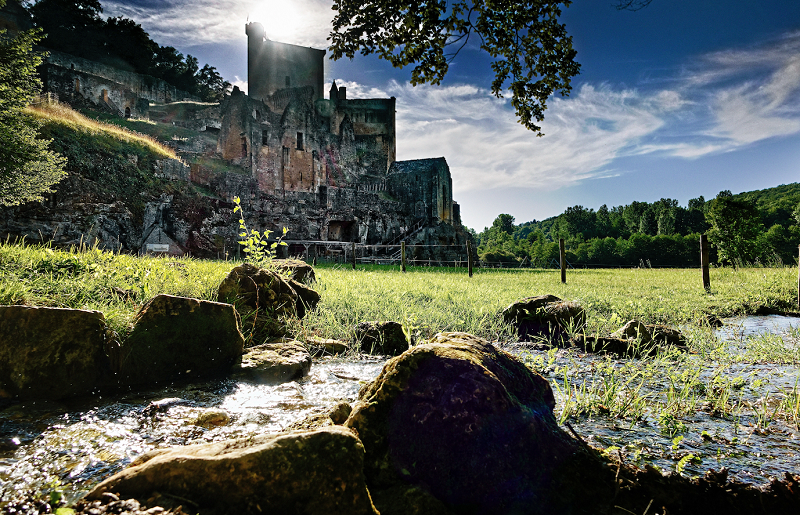 Venez célébrer la Fête de la Nature au Château ...