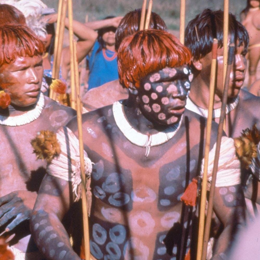 L'Amazonie vue de l'intérieur : un médecin car ...