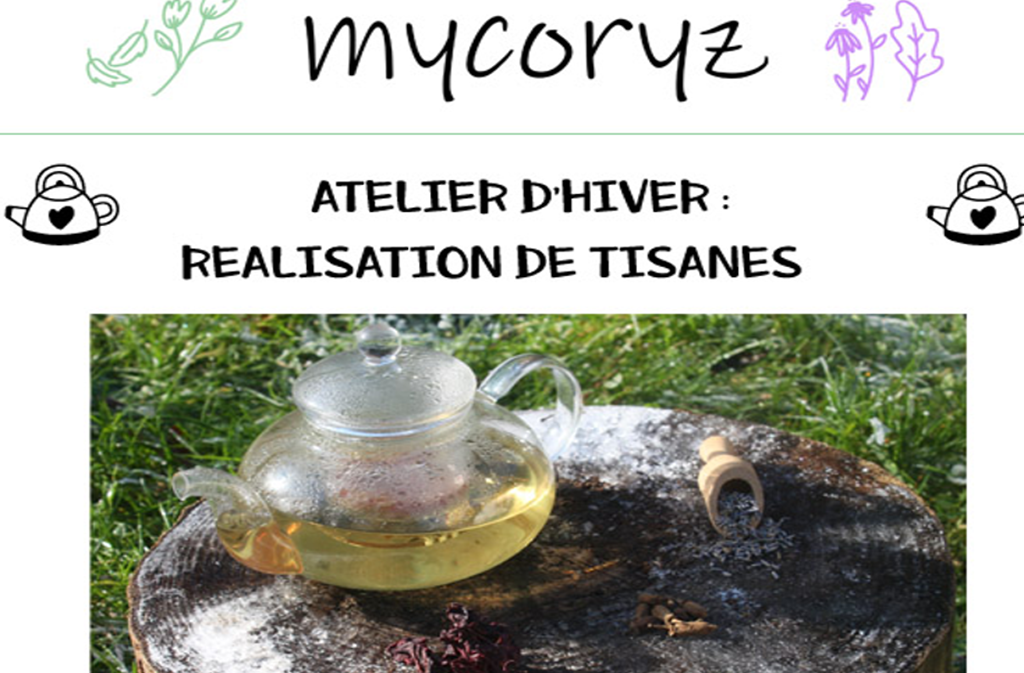 Atelier d'hiver : réalisation de tisanes