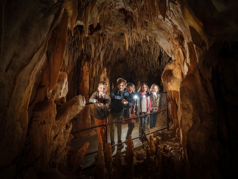 Visite spéciale "familles" : La petite aventur ...