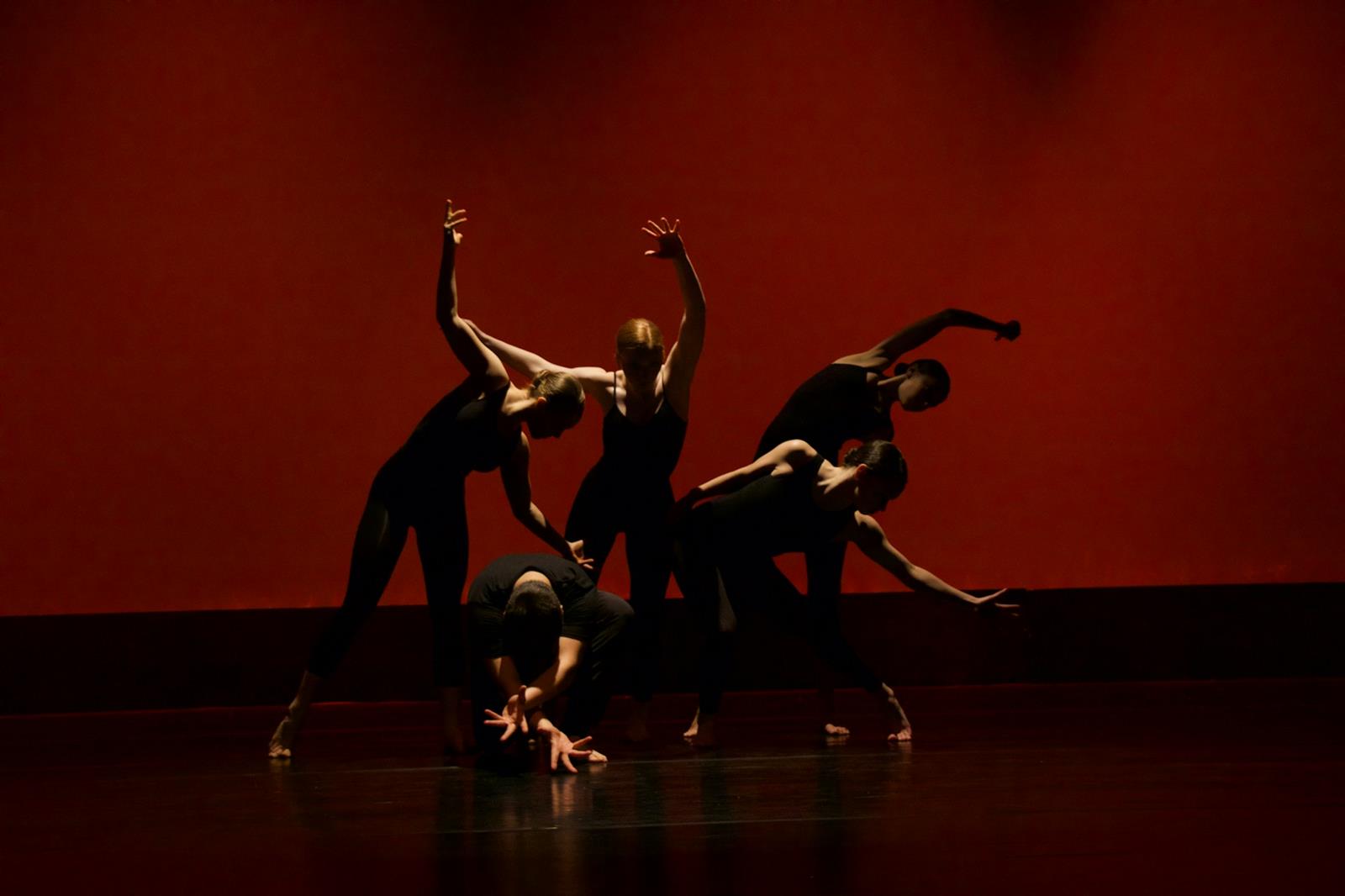 Stage de danse contemporaine - Le floorwork