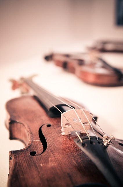 Concert de violon par Natacha Triadou