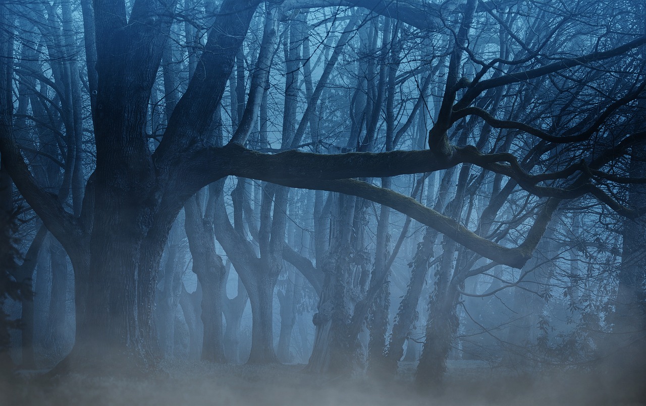 Les RDV de la chevêche : balade nocturne à l'é ...