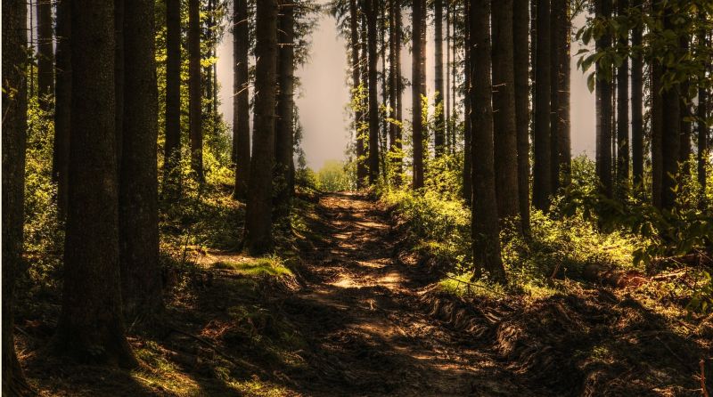 Printemps de la biodiversité - Balade et conte ...