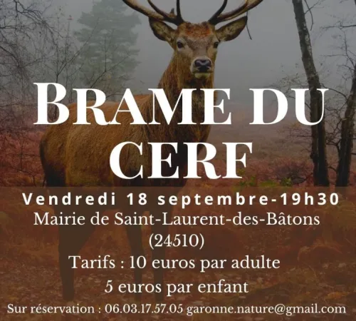 Sortie brame du cerf