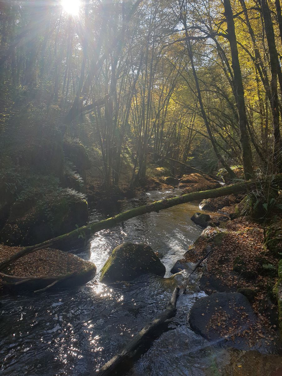 Le Trou de Philippou - Sites Naturels / Parcs Naturels à Saint