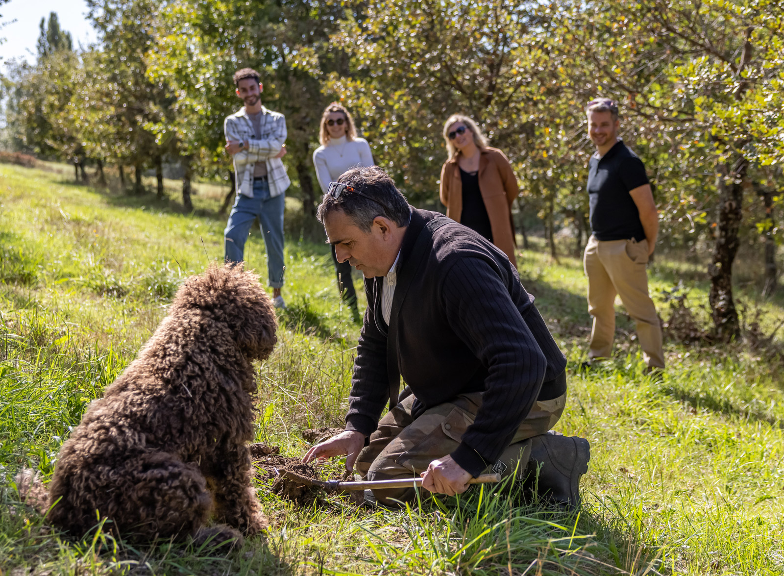 La truffe du Périgord  Dordogne Périgord Tourisme