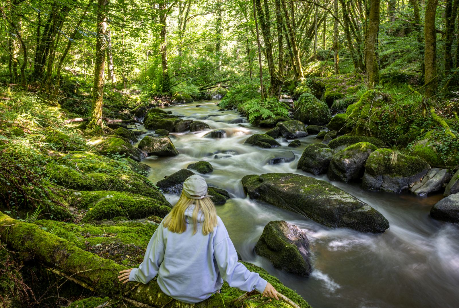 The Périgord-Limousin Regional Natural Park, a ...